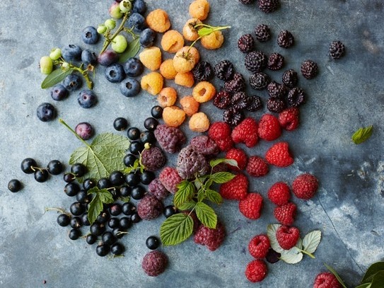 berries