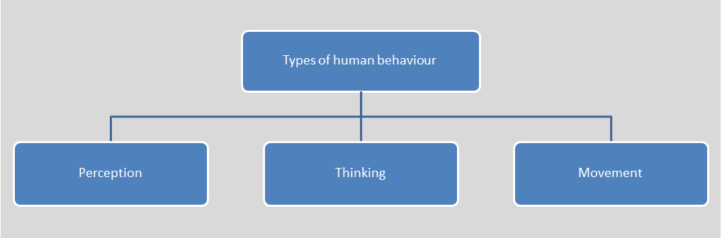 Types of human behaviour