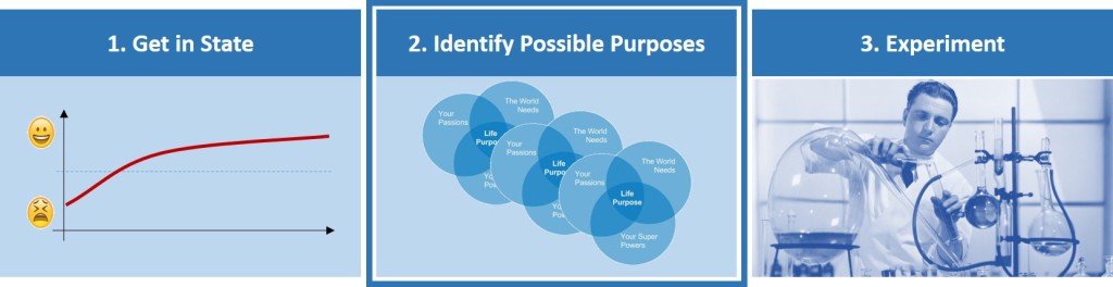 Identify Possible Purposes